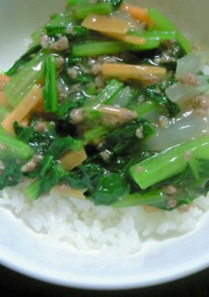 簡単!野菜ミンチ丼-レシピのメイン写真