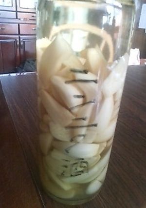 調味料としてのニンニク酒-レシピのメイン写真