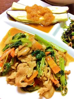 ごはんが進む!豚肉と小松菜の甘辛炒め-レシピのメイン写真