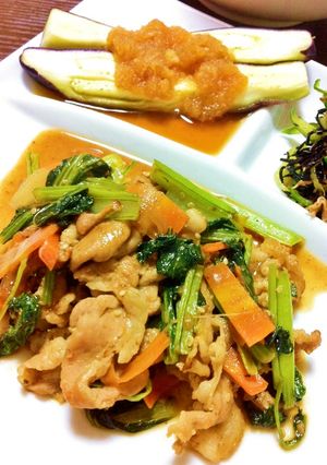 ごはんが進む!豚肉と小松菜の甘辛炒め-レシピのメイン写真