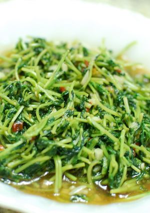 豆苗のピリ辛炒め-レシピのメイン写真