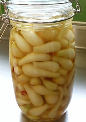 らっきょうの梅酢漬けだワン-レシピのメイン写真