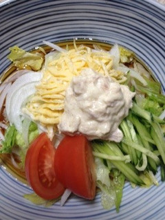 サラダうどん-レシピのメイン写真
