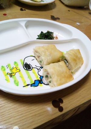 おからとトンスーシャーの春巻-レシピのメイン写真