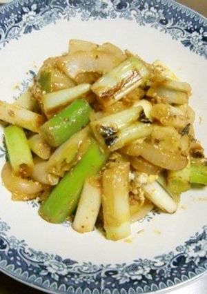 中華名菜で、マーボーダブルねぎ-レシピのメイン写真