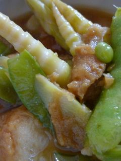 筍と仙台麩の煮物-レシピのメイン写真
