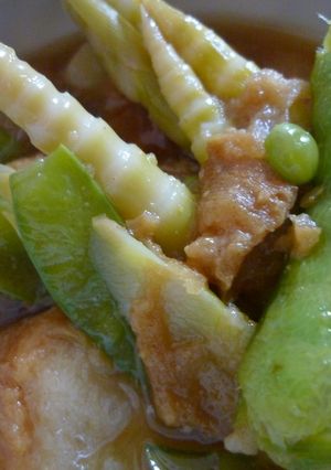 筍と仙台麩の煮物-レシピのメイン写真