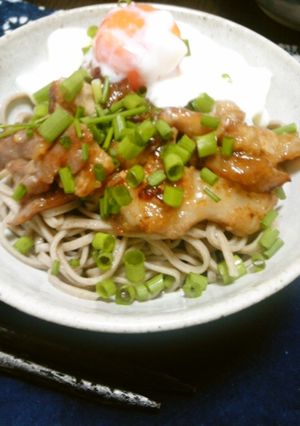 ちゅるちゅる☆さっぱりとろーり肉蕎麦☆-レシピのメイン写真