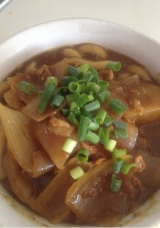 菊芋カレーを簡単リメイク☆カレーうどん編-レシピのメイン写真