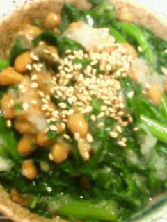 春菊納豆みぞれ和え-レシピのメイン写真
