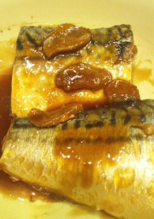 さばの味噌煮-レシピのメイン写真