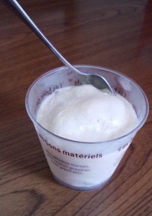 蜂蜜と全卵で！砂糖不使用アイスクリーム-レシピのメイン写真