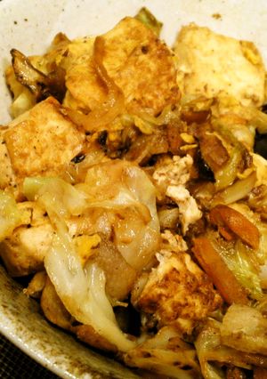 少ない材料で豆腐チャンプルー-レシピのメイン写真