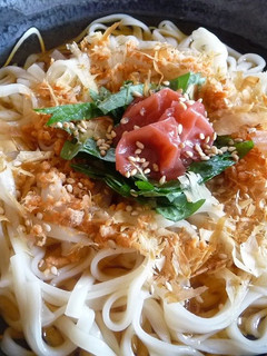 簡単あっさり☆ぶっかけうどん-レシピのメイン写真