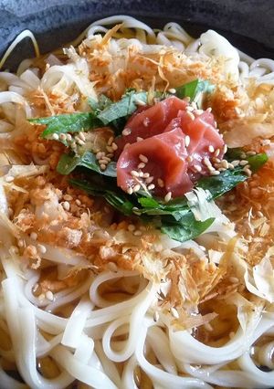 簡単あっさり☆ぶっかけうどん-レシピのメイン写真