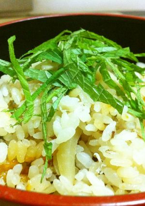 初夏の味！新しょうがと鯵の炊き込みごはん-レシピのメイン写真