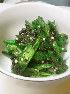 オクラの胡麻和え-レシピのメイン写真