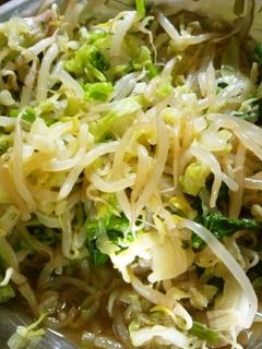 給食風♪キャベツともやしのしょうがあえ-レシピのメイン写真