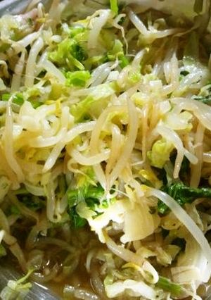 給食風♪キャベツともやしのしょうがあえ-レシピのメイン写真