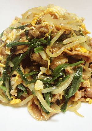豚肉とニラもやしの炒め物-レシピのメイン写真