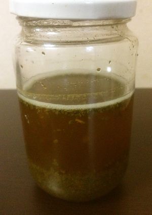 お茶酵母～緑茶～-レシピのメイン写真