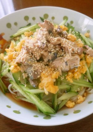 さば缶ときゅうりのシャキシャキかけうどん-レシピのメイン写真