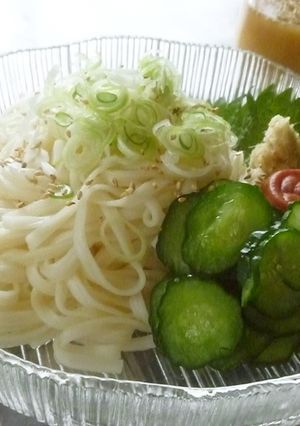 昆布茶汁の冷やしうどん-レシピのメイン写真