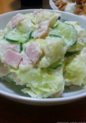 野菜タップリポテトサラダ-レシピのメイン写真