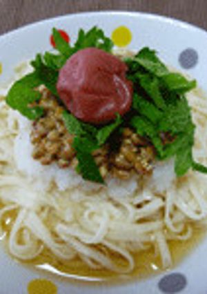 おろし&納豆のさっぱりうどん-レシピのメイン写真