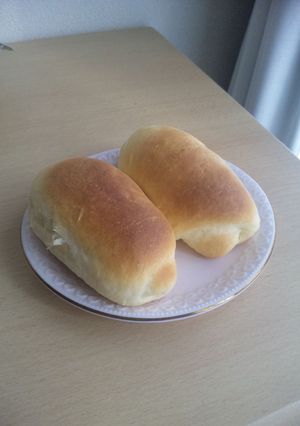簡単!手ごねロールパン-レシピのメイン写真