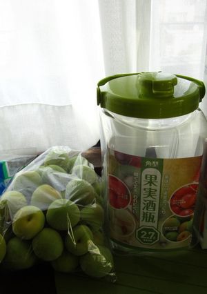 簡単梅酒　2012-レシピのメイン写真