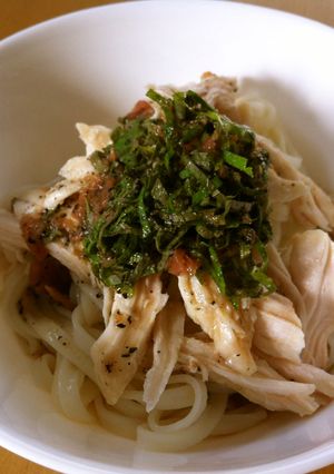 サッパリ！ご馳走さま～うどん-レシピのメイン写真
