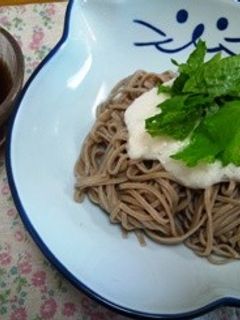 簡単!とろろそば-レシピのメイン写真