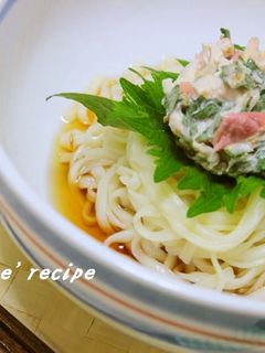 冷たいうどん✿ささみと梅-レシピのメイン写真