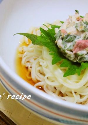 冷たいうどん✿ささみと梅-レシピのメイン写真