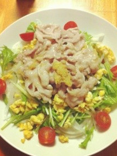 冷しゃぶうどん-レシピのメイン写真