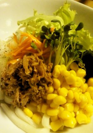 かつおフレークツナ☆ヘルシーサラダうどん-レシピのメイン写真
