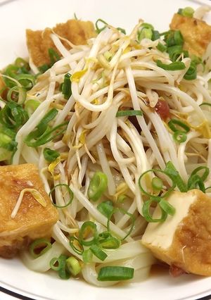 厚揚げと梅の梅雨対策うどん-レシピのメイン写真