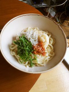 暑い日にぴったり!さっぱり冷やしうどん-レシピのメイン写真
