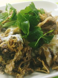 ゴボウと牛肉の卵とじ-レシピのメイン写真