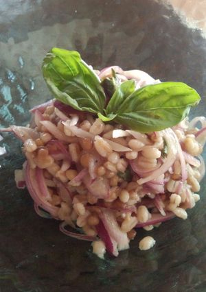 簡単♪レンズ豆のサラダ-レシピのメイン写真