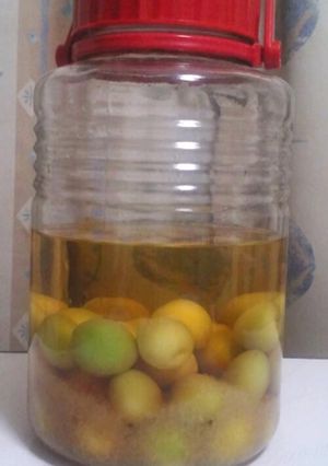 梅酒の仕込み-レシピのメイン写真