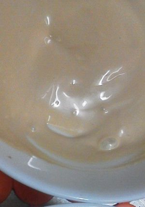 ☆鶏肉にぴったりの簡単マヨ醤油ソース☆-レシピのメイン写真