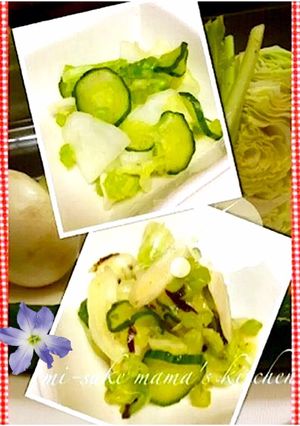 ばぁばの味★キャベツとカブの簡単浅漬けஐ-レシピのメイン写真