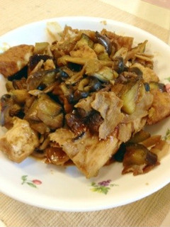 茄子と厚揚げの味噌炒め-レシピのメイン写真