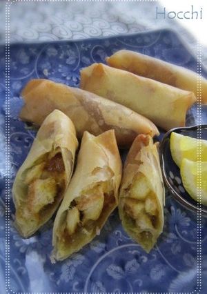 §カレー§リメイク!パンで春巻き～◎-レシピのメイン写真