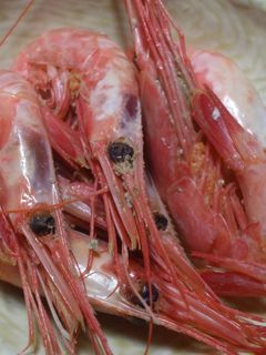 簡単で美味しいエビの酒蒸し-レシピのメイン写真