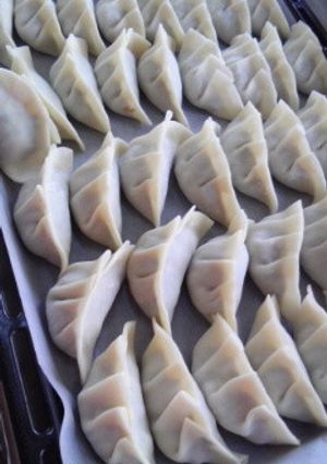 ヘルシー和な餃子-レシピのメイン写真