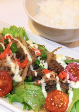 簡単♪牛挽き肉ともやしのサラダ風（丼）-レシピのメイン写真
