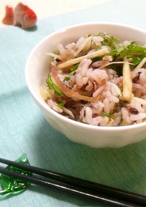 爽やか♪薬味と柚子胡椒の混ぜご飯-レシピのメイン写真